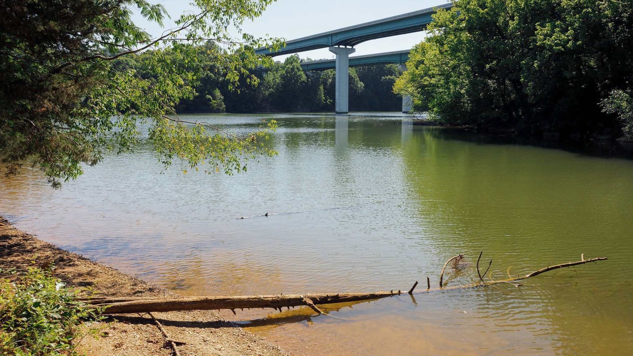 Photo of Others in Colonial Heights