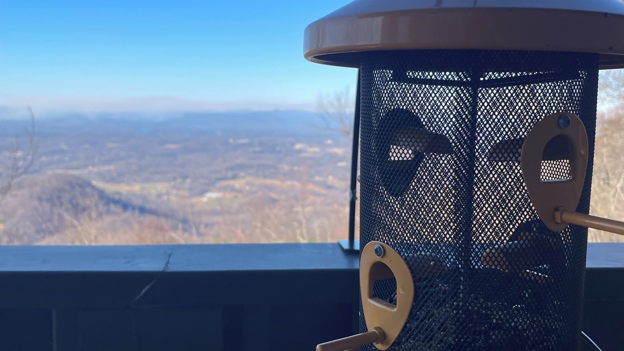 Photo of Outdoor in Morganton