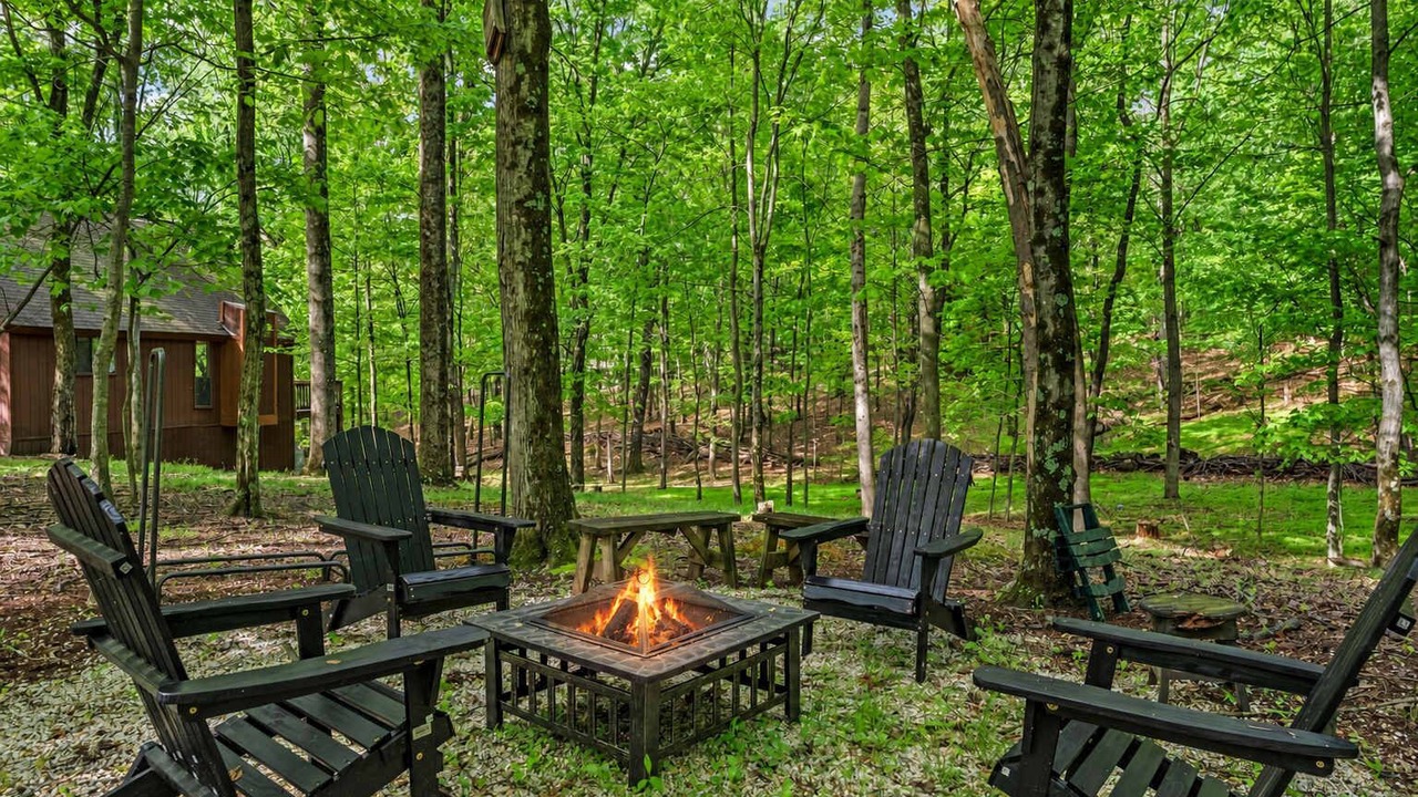Photo of Others in The Woods