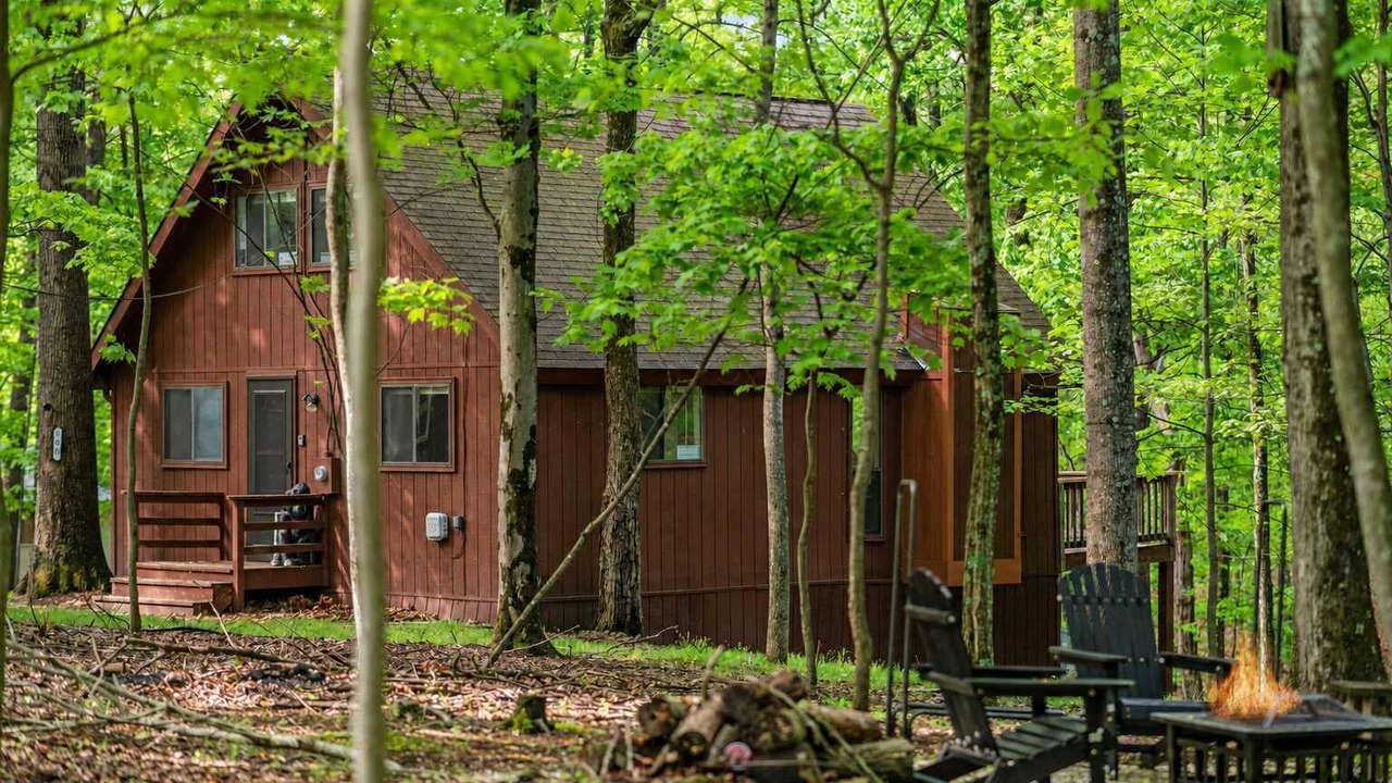 Photo of Outdoor in The Woods
