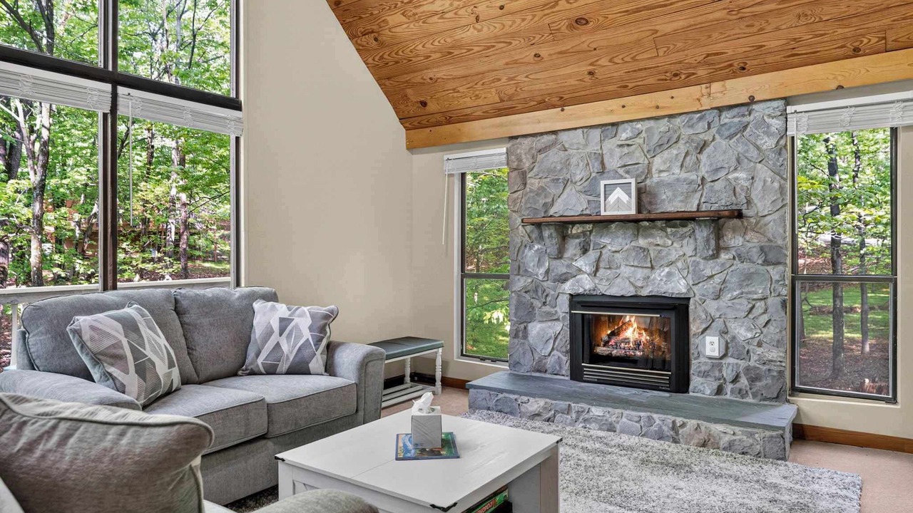 Photo of Livingroom in The Woods