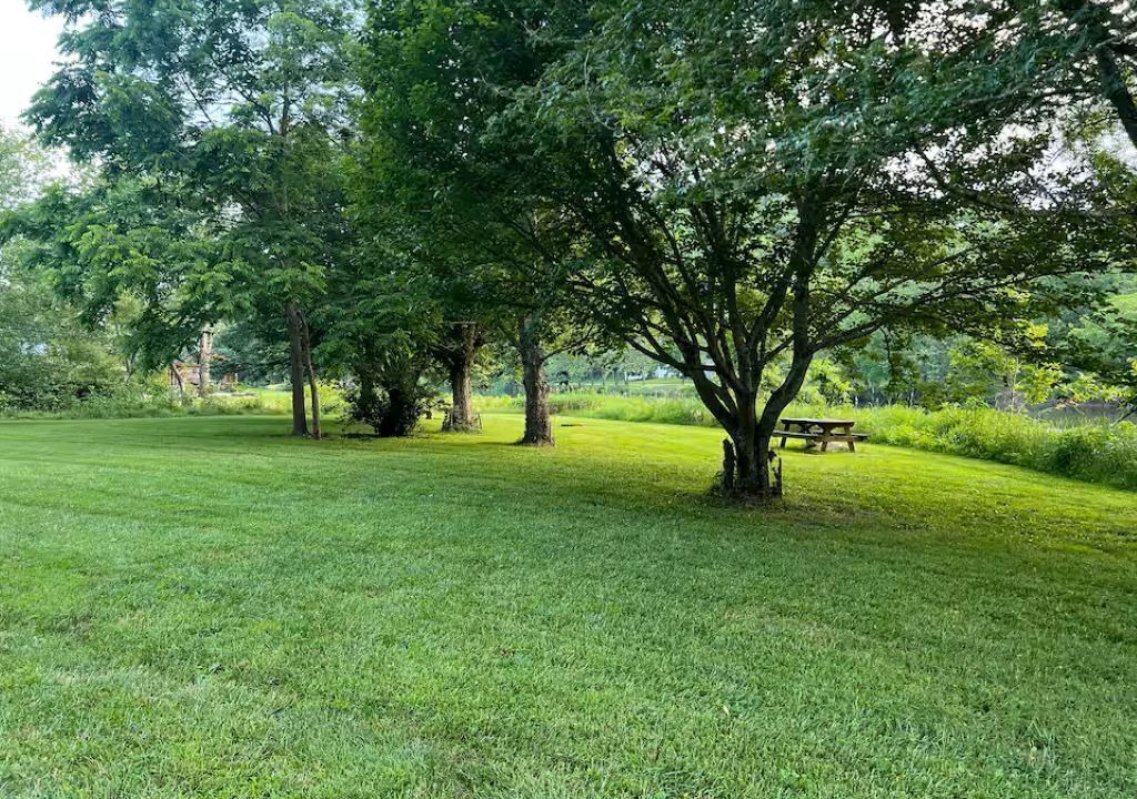 Photo of Outdoor in Piney Creek
