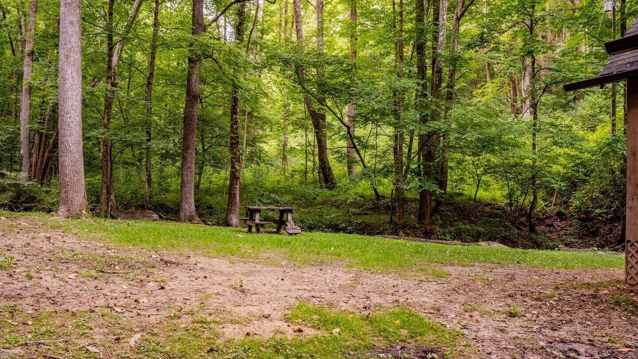 Photo of Outdoor in Ansted