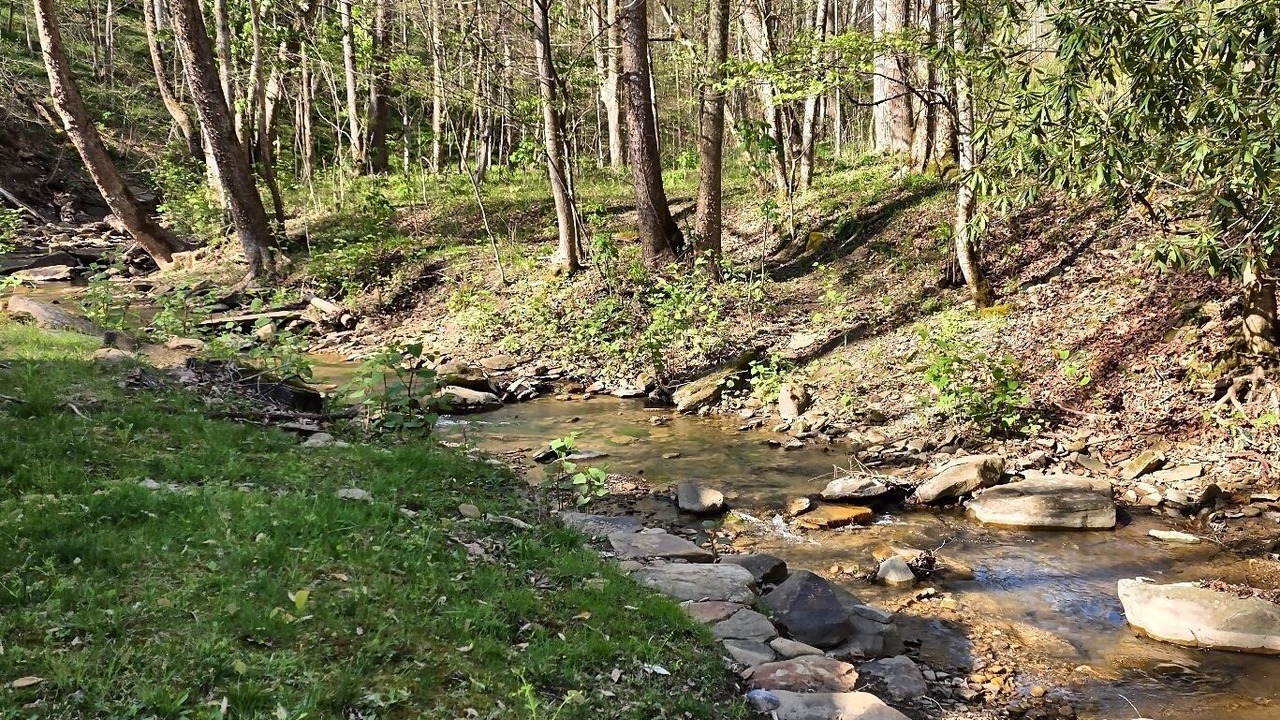Photo of Others in Ansted