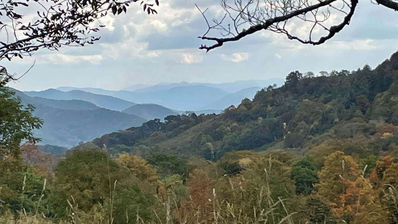 Photo of Others in Bakersville