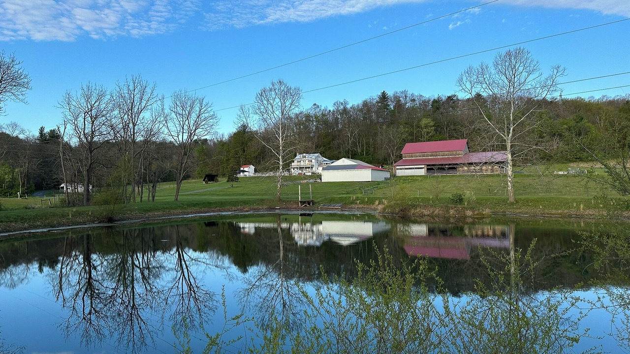 Photo of Others in Orbisonia