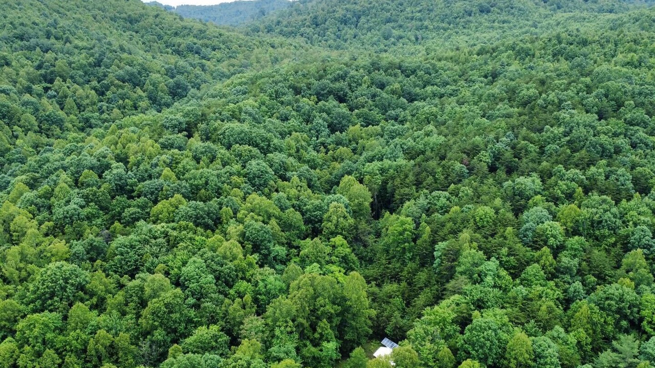 Photo of Others in Lenoir
