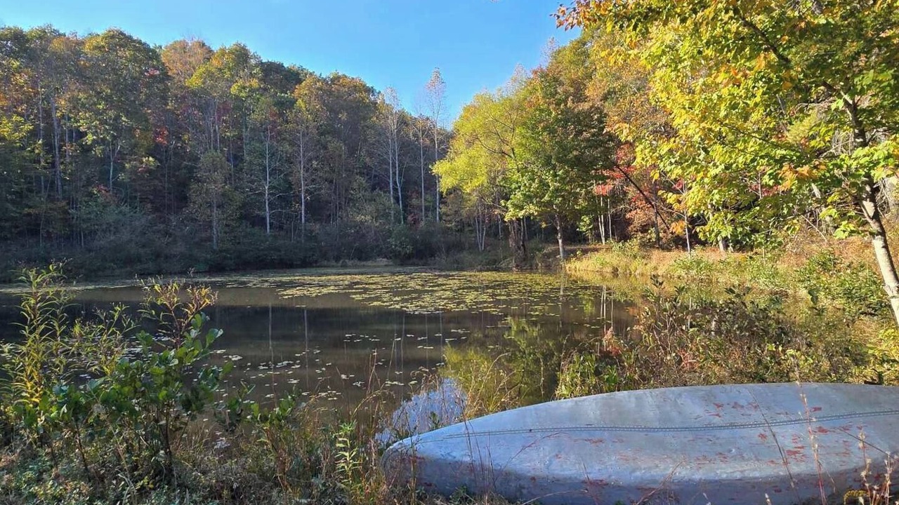 Photo of Others in Lenoir
