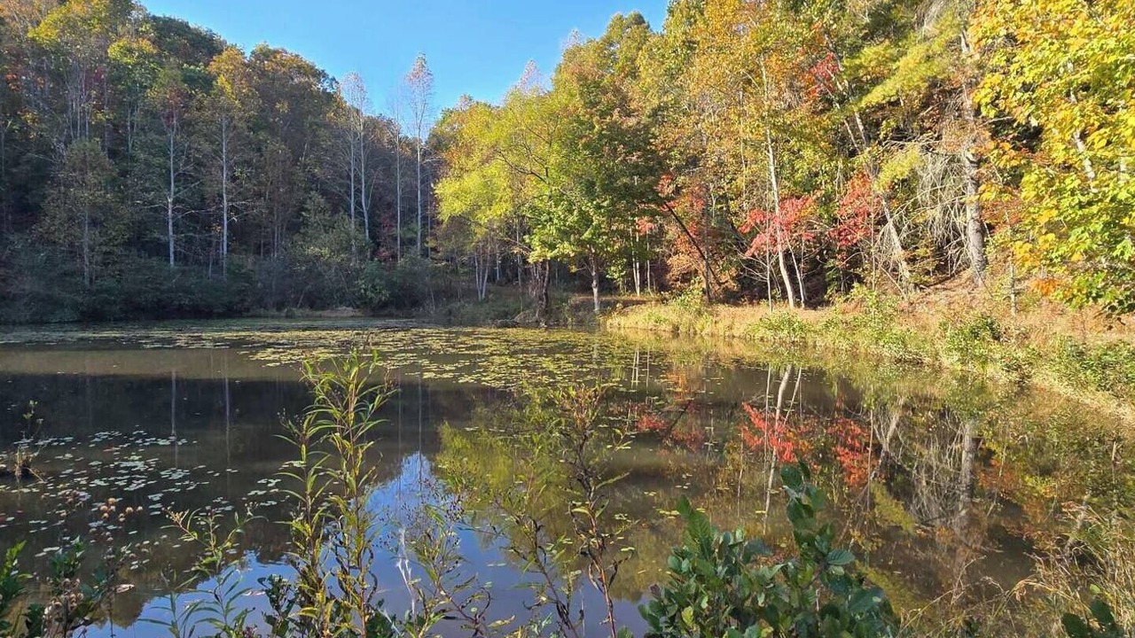 Photo of Others in Lenoir