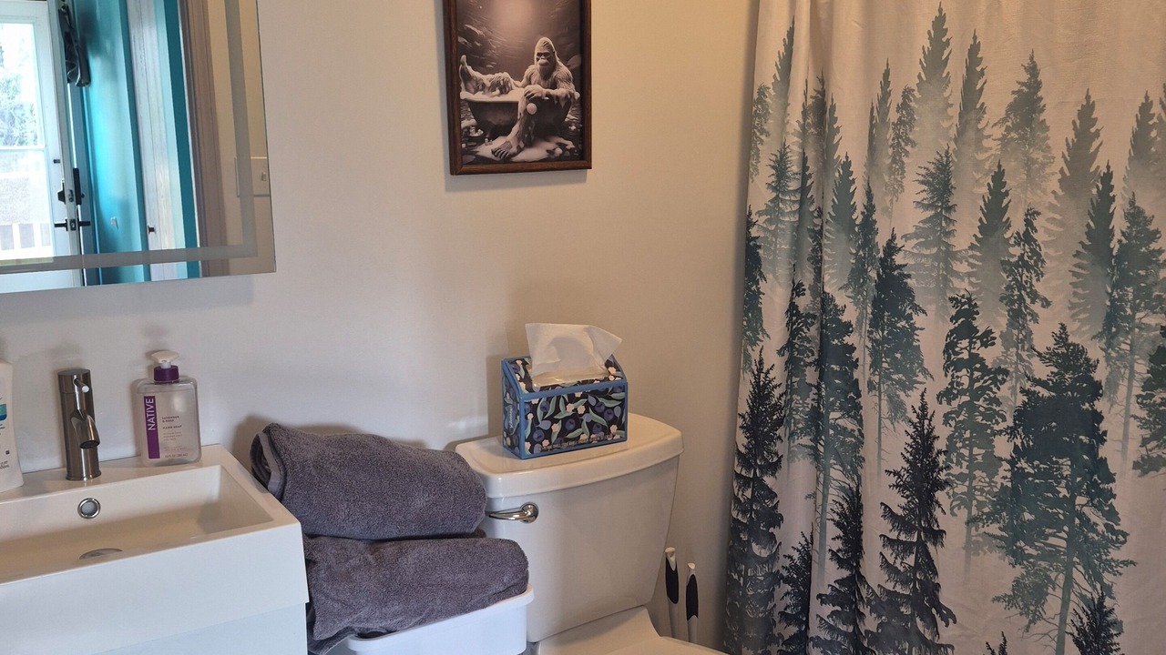 Photo of Bathroom in Mount Storm