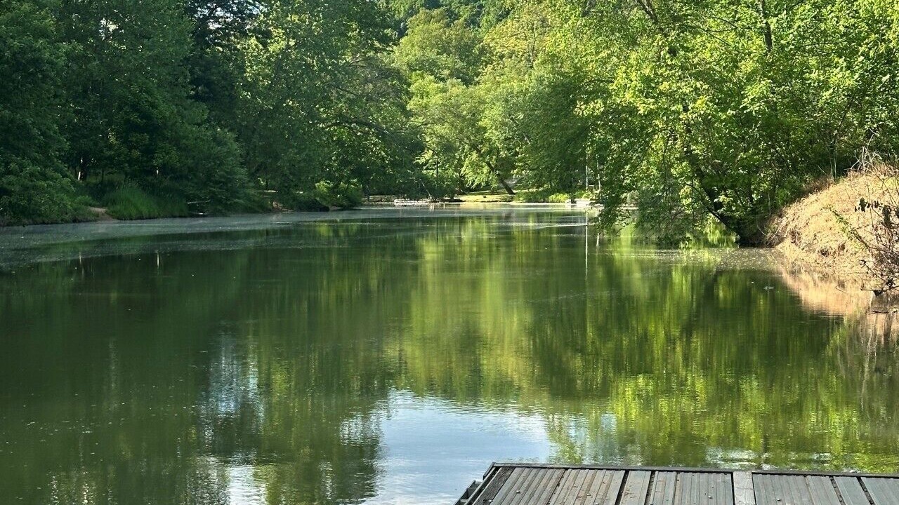 Photo of Others in Gallipolis Ferry