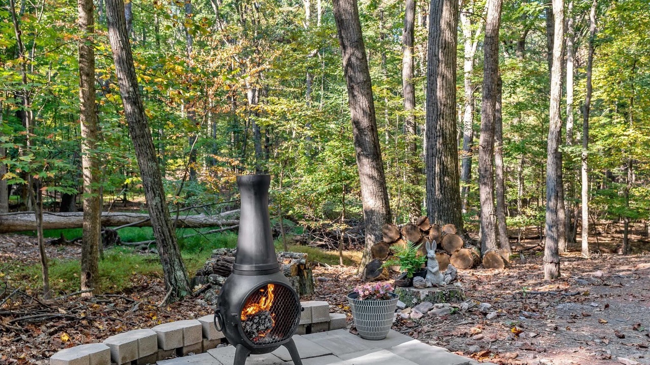 Photo of Outdoor in The Woods