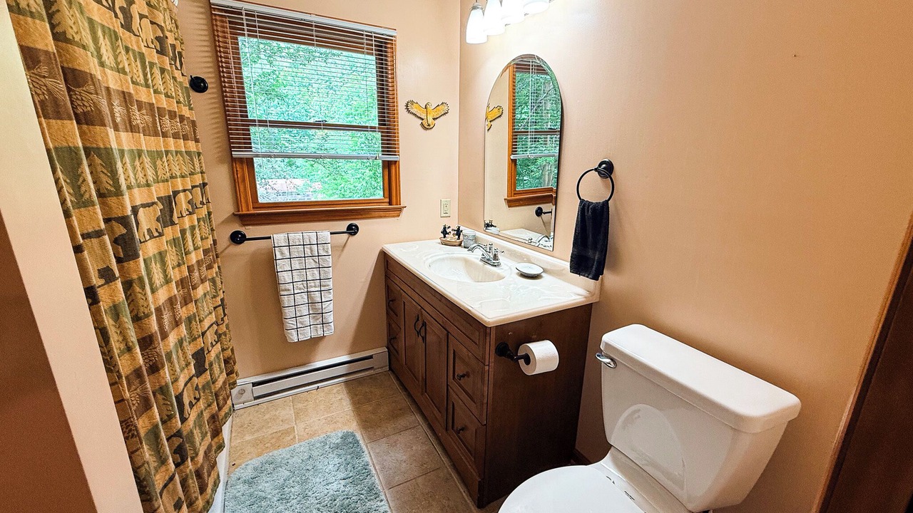 Photo of Bathroom in Lansing