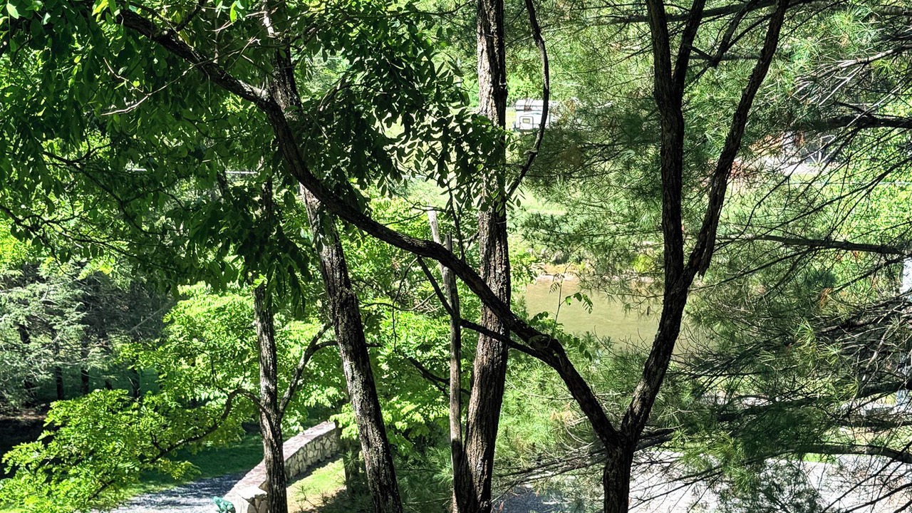 Photo of Outdoor in Lansing