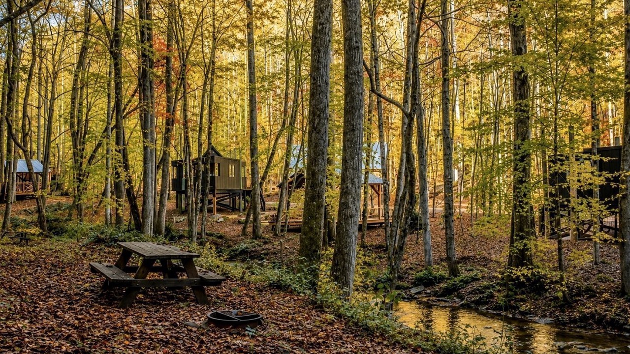 Photo of Outdoor in Brevard