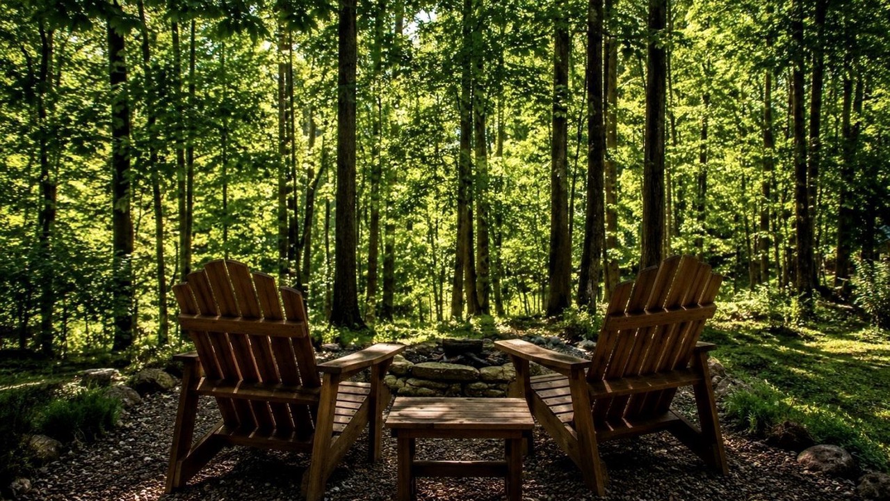 Photo of Outdoor in Brevard