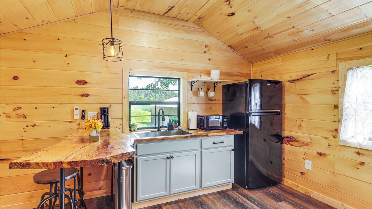 Photo of Kitchen in Lynx