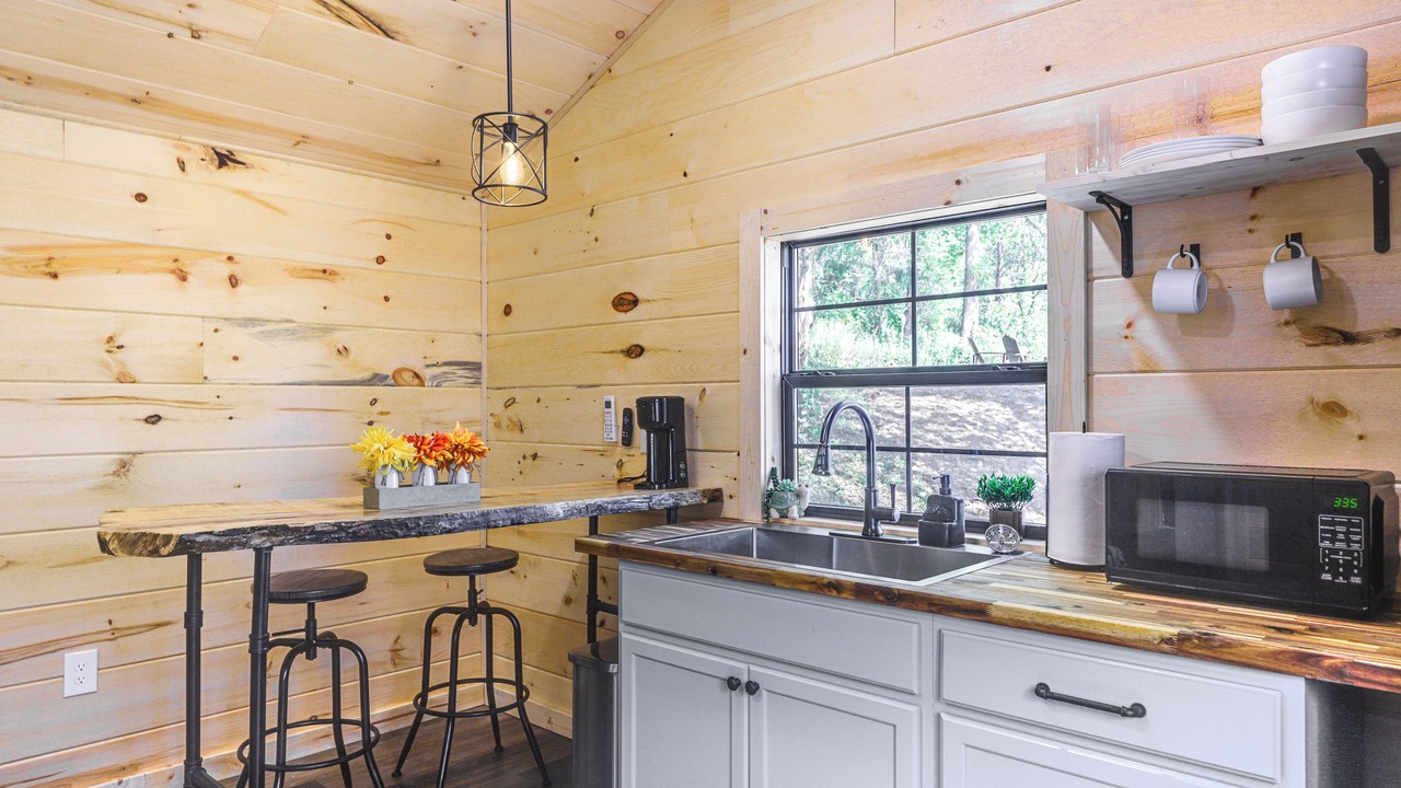 Photo of Kitchen in Lynx