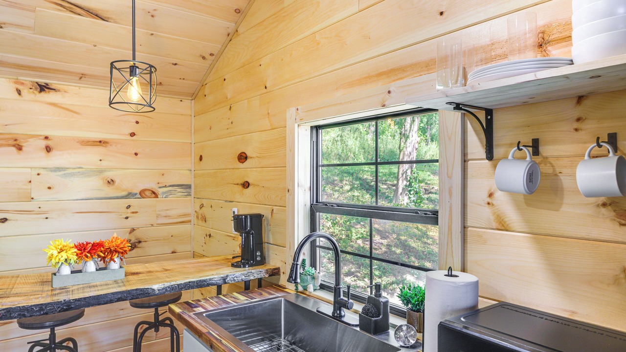 Photo of Kitchen in Lynx