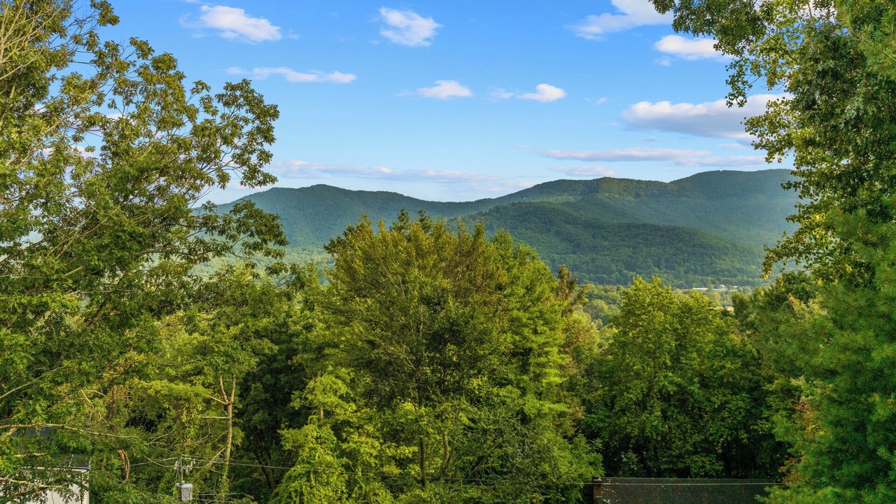Photo of Others in Swannanoa