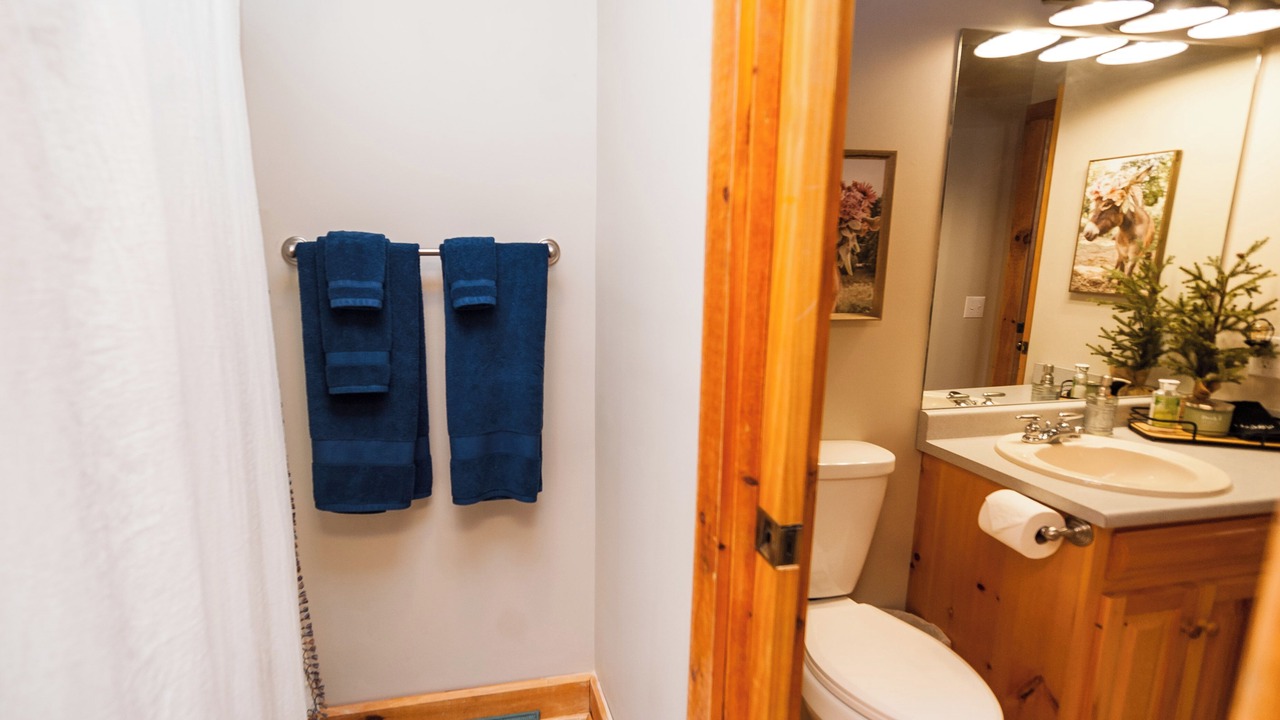 Photo of Bathroom in Mill Spring