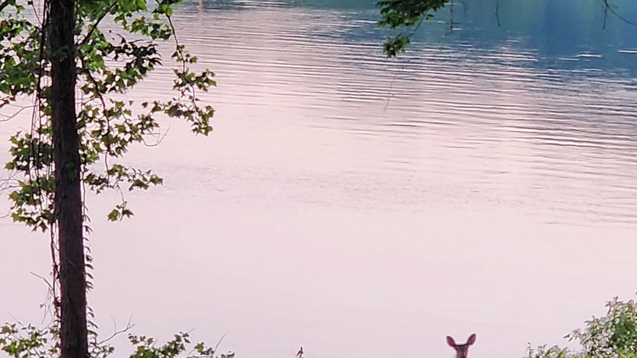 Photo of Outdoor in Bentonville