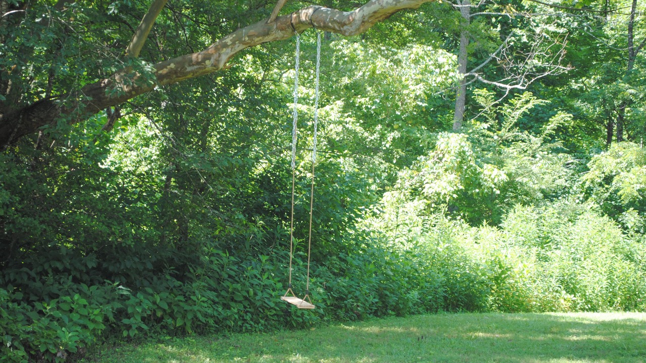 Photo of Outdoor in Lenoir