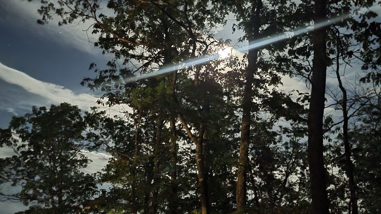 Photo of Outdoor in Frenchburg