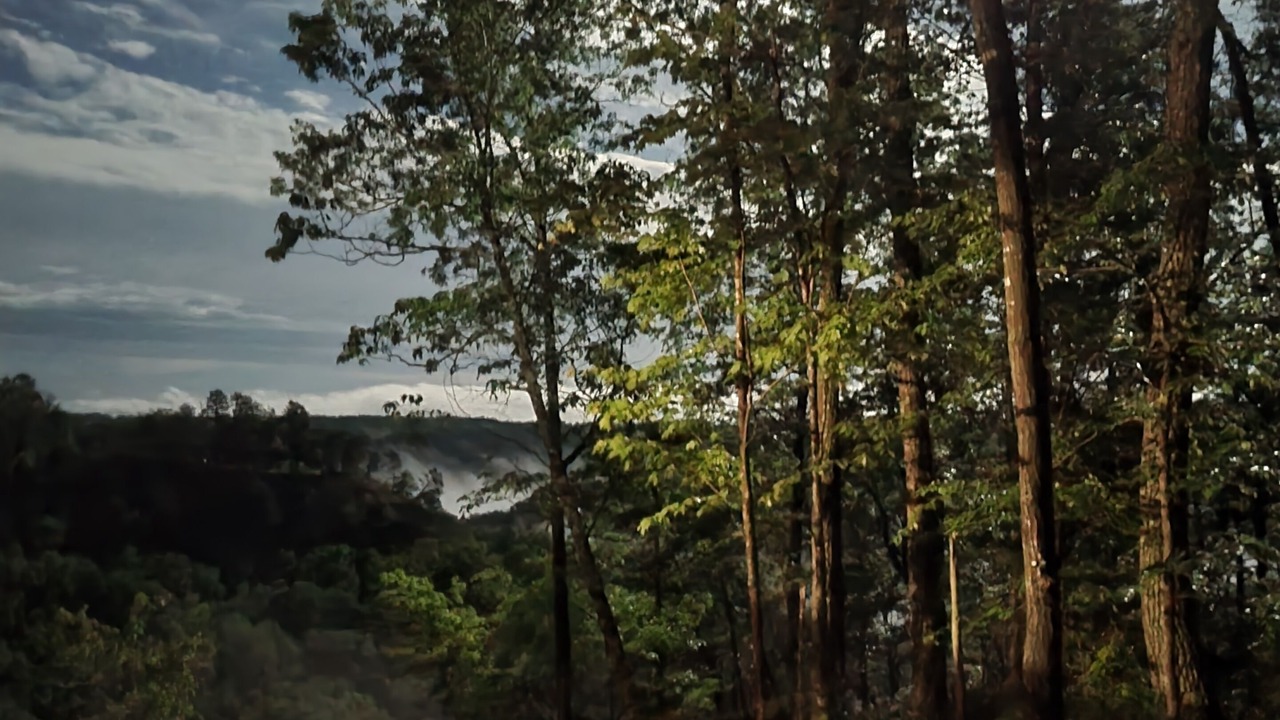 Photo of Outdoor in Frenchburg