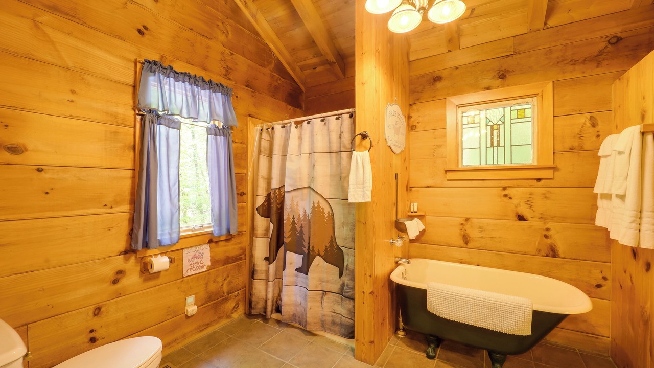 Photo of Bathroom in Vein Mountain