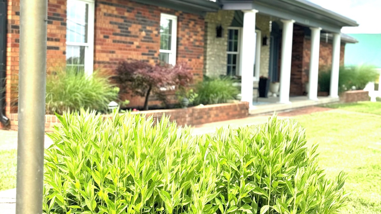 Photo of Outdoor in De Mossville