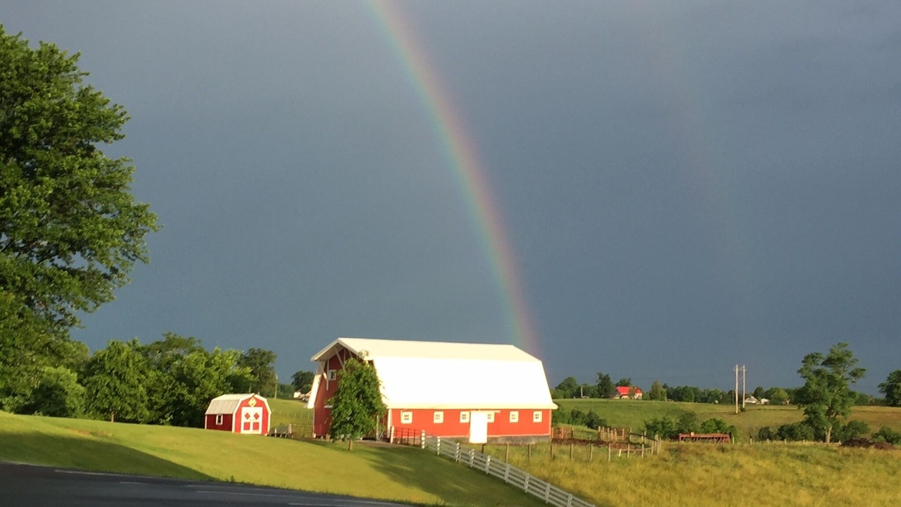 Photo of Outdoor in De Mossville