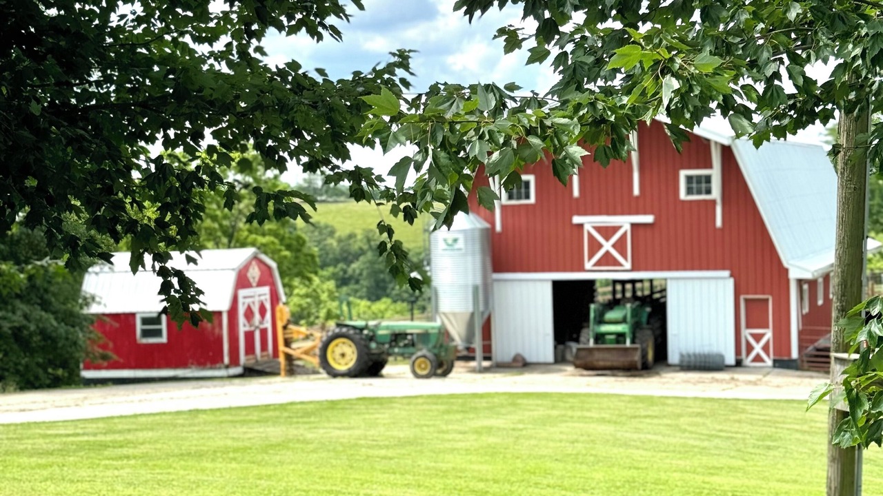 Photo of Others in De Mossville