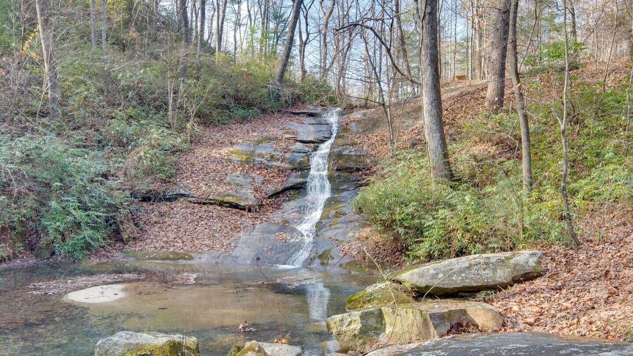 Photo of Others in Lake Lure