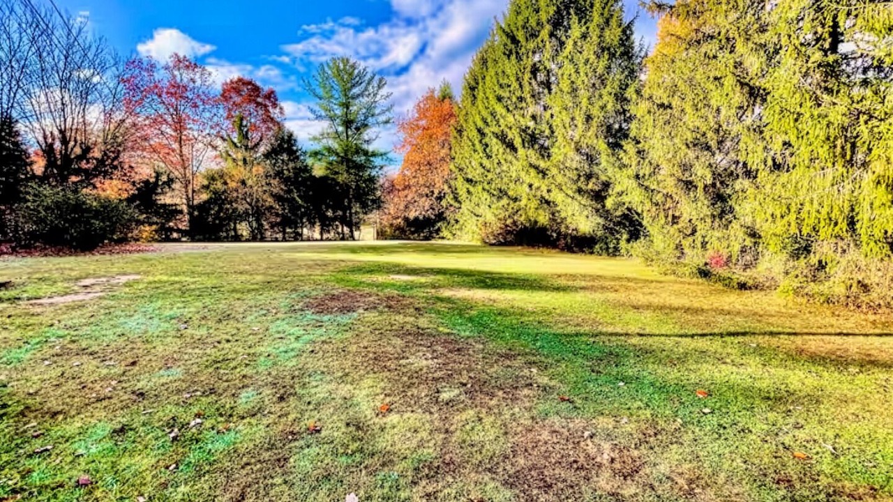 Photo of Outdoor in Swannanoa