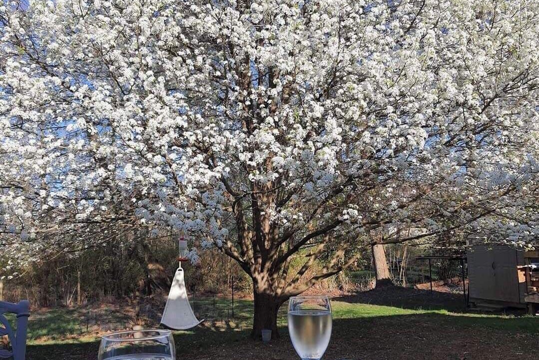 Photo of Outdoor in Stanton
