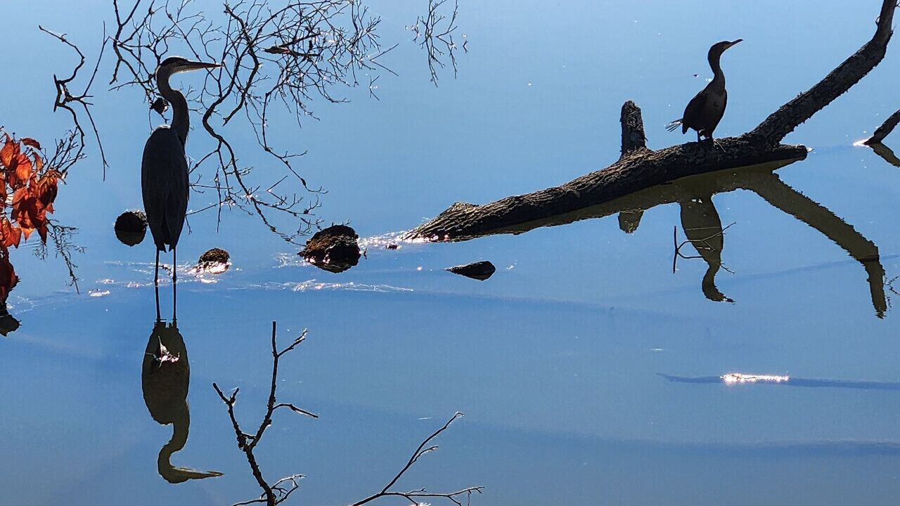 Photo of Outdoor in Asheville