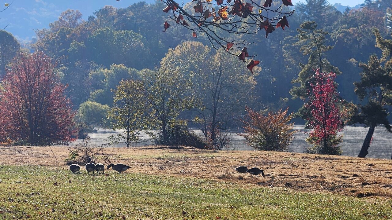 Photo of Outdoor in Asheville
