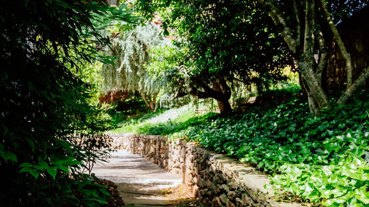 Photo of Others in Asheville