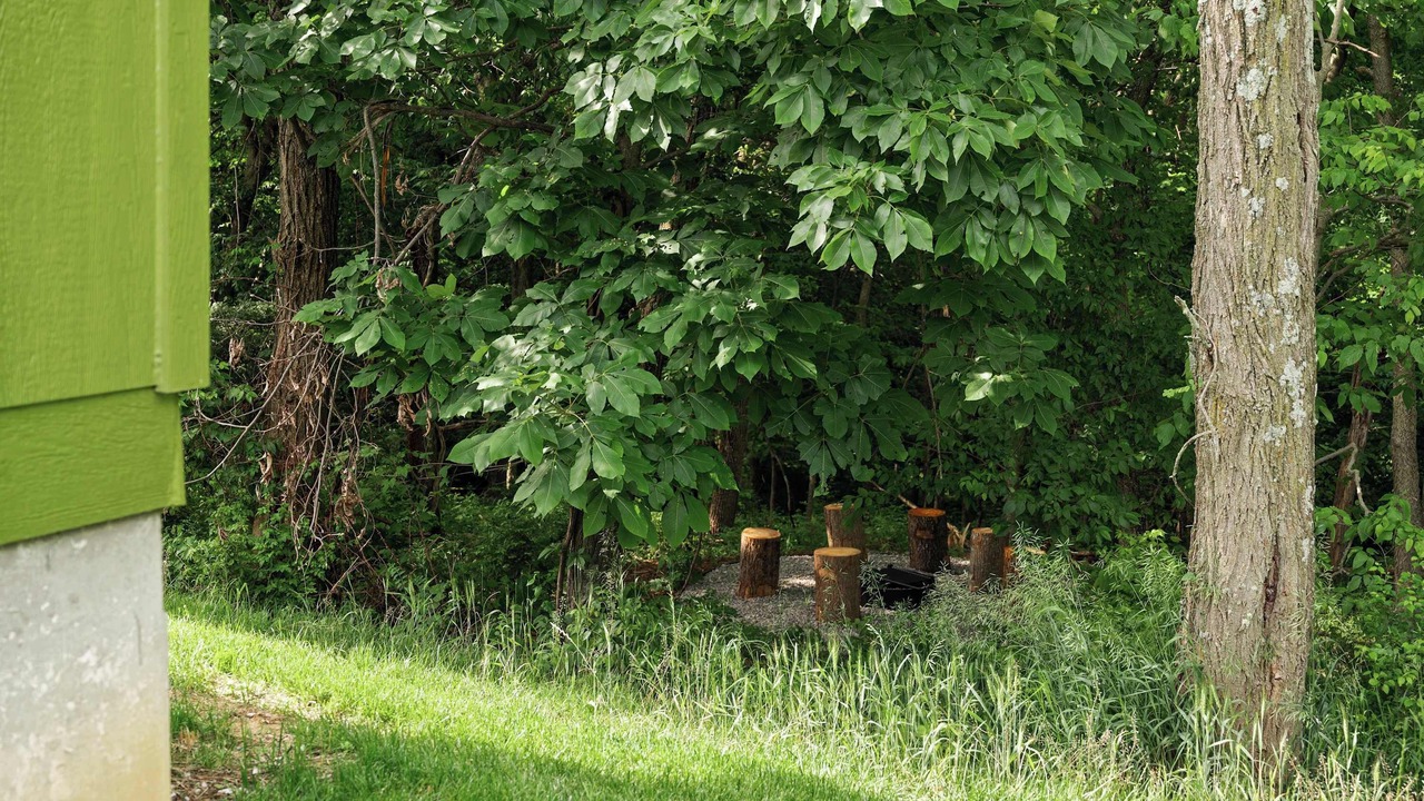 Photo of Outdoor in Williamstown
