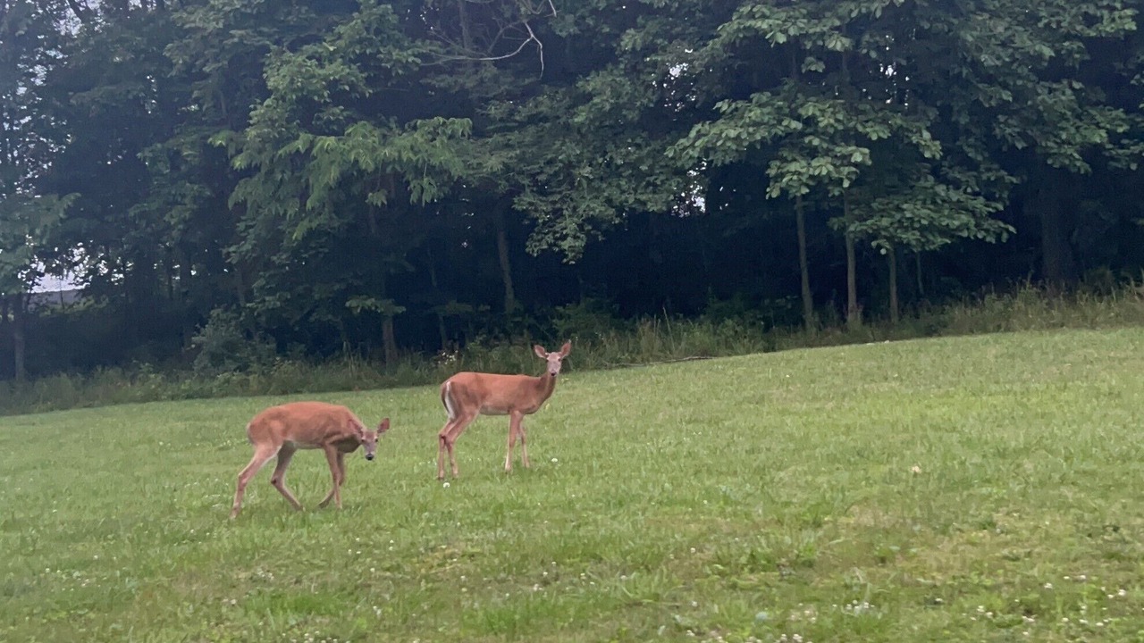 Photo of Others in Jonesville