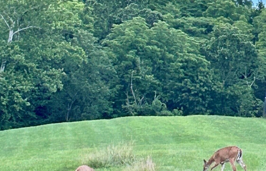 Photo of Others in Jonesville