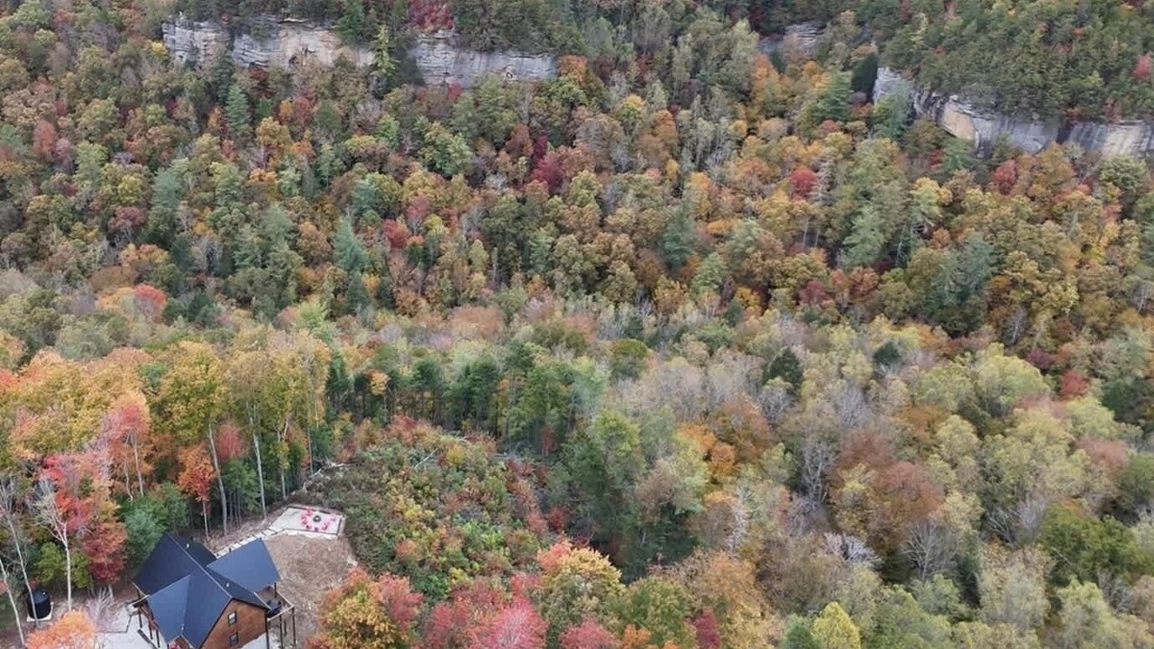 Photo of Outdoor in Rogers