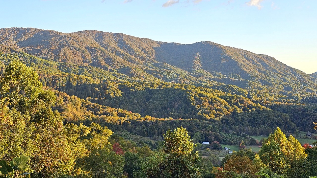 Photo of Others in Bakersville