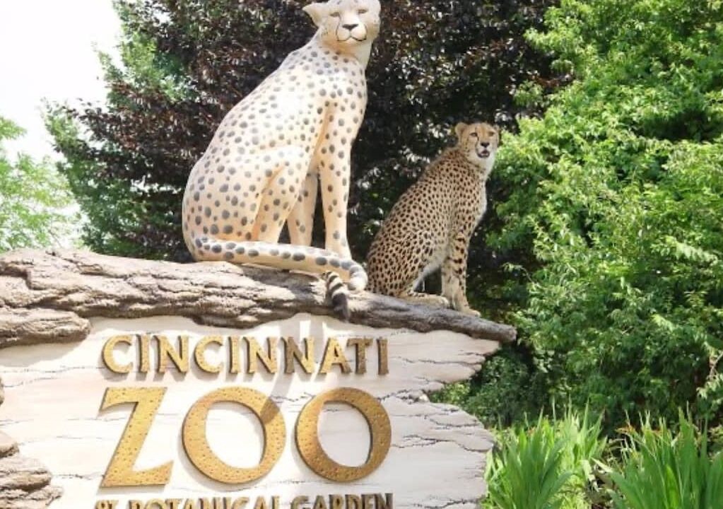 Photo of Others in Highland Heights