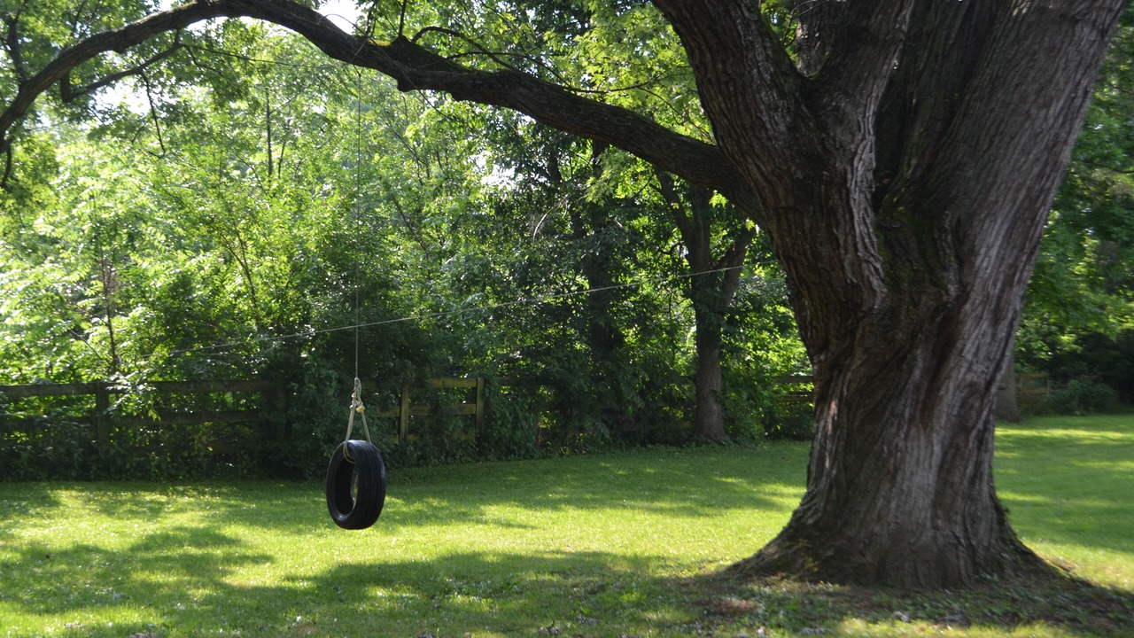 Photo of Outdoor in Lexington