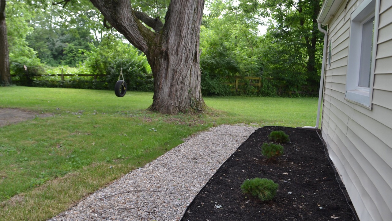Photo of Outdoor in Lexington