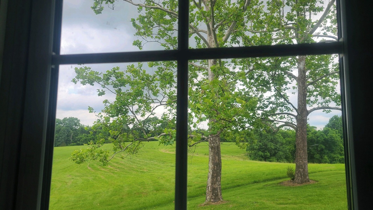 Photo of Others in Dry Ridge