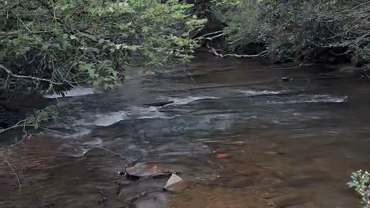 Photo of Others in Laurel Springs