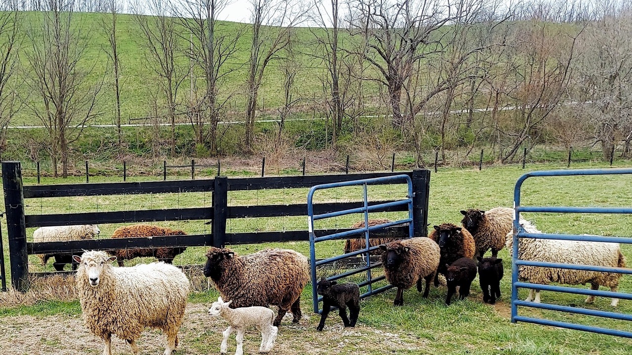 Photo of Others in Moorefield